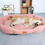 Canapé apaisant rose pour chien avec rebords surélevés dans un salon cosy